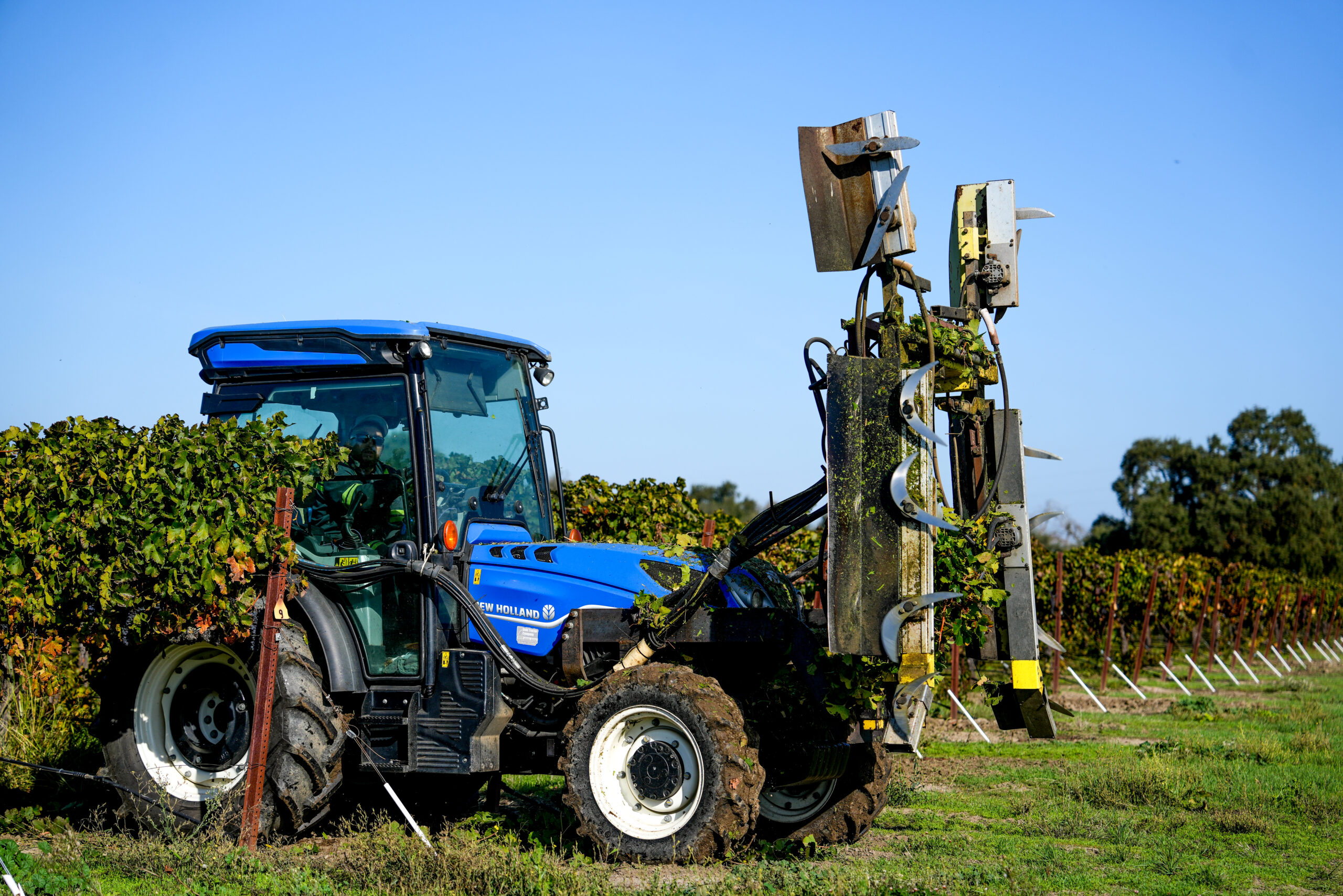 Why Wine Lovers Choose the Silt Wine Club